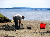 clamming-1