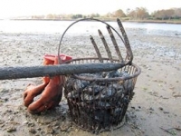 clamming-3