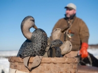 duck-5