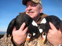 duck-6