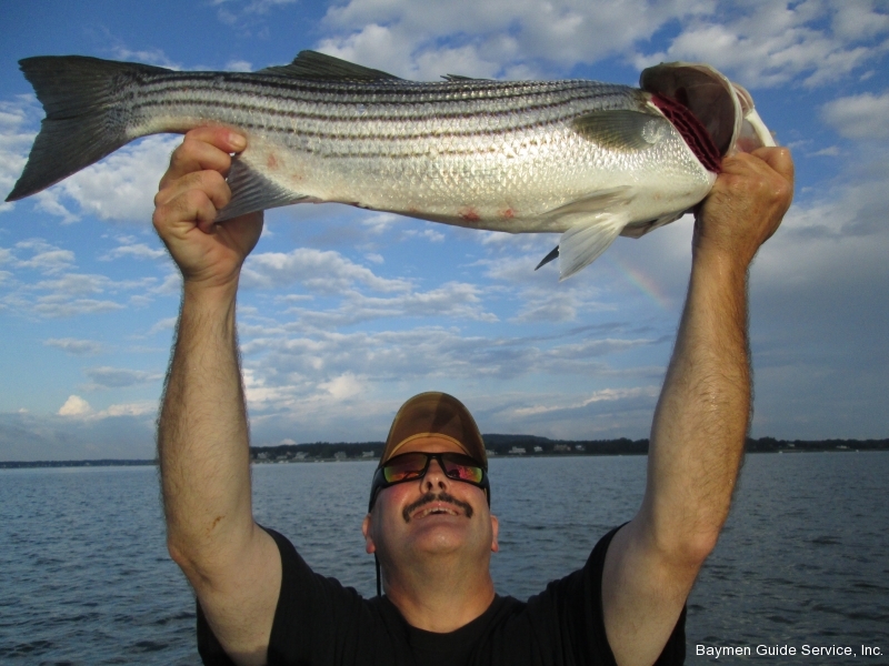 30 Fish! – Baymen Guide Service, Inc. & Baymen Charters