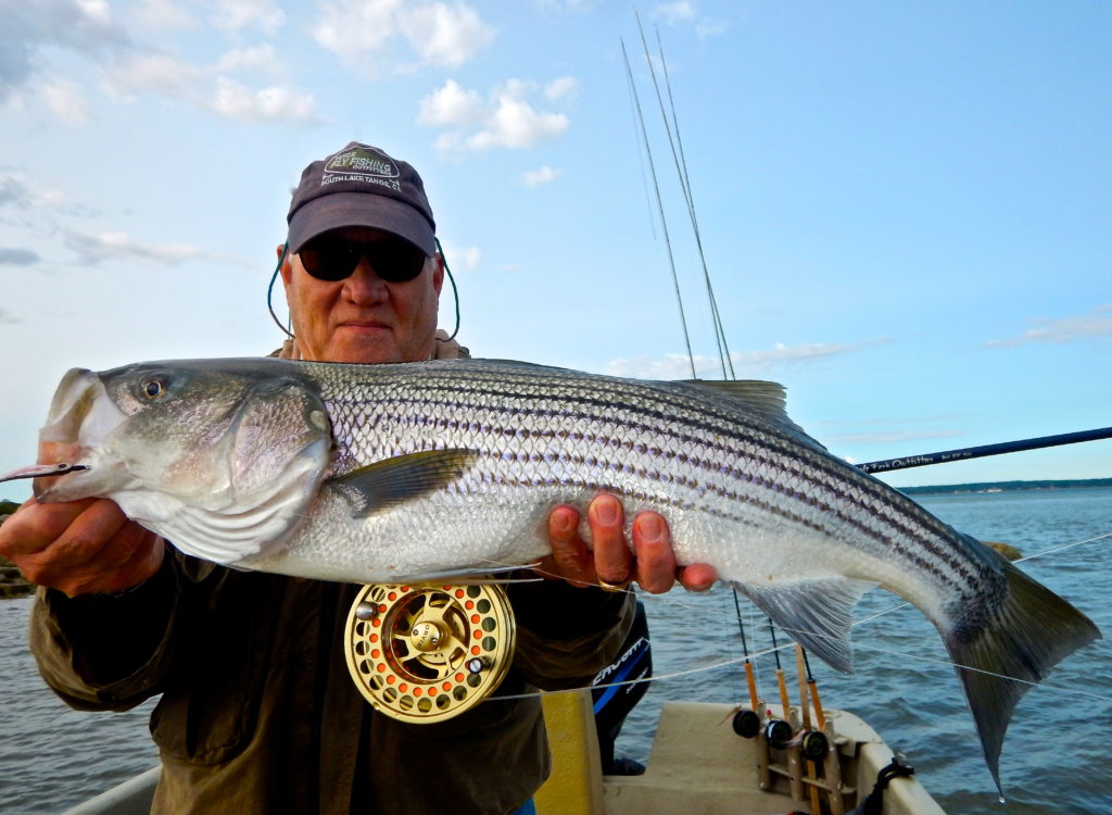 30 Fish! – Baymen Guide Service, Inc. & Baymen Charters