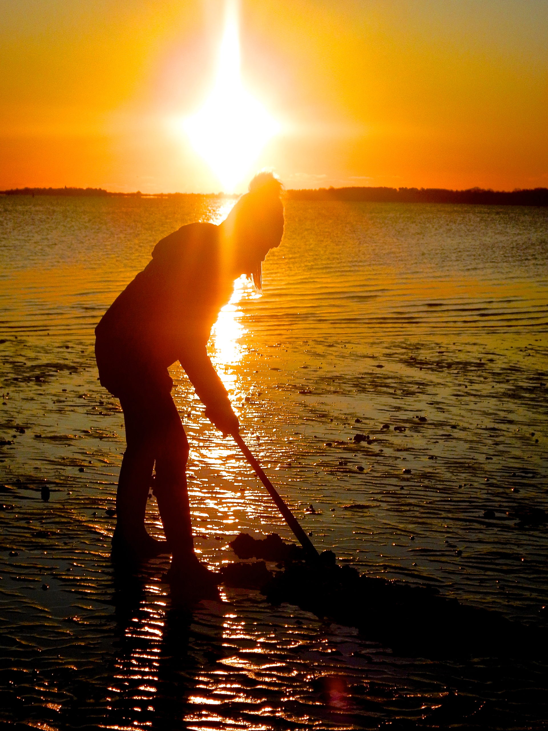 Early Morning Clamming Trip Baymen Guide Service, Inc. & Baymen Charters