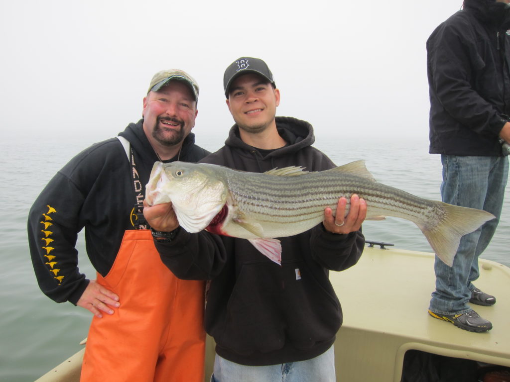 11 More Striped Bass Dates Gone… Baymen Guide Service, Inc. & Baymen