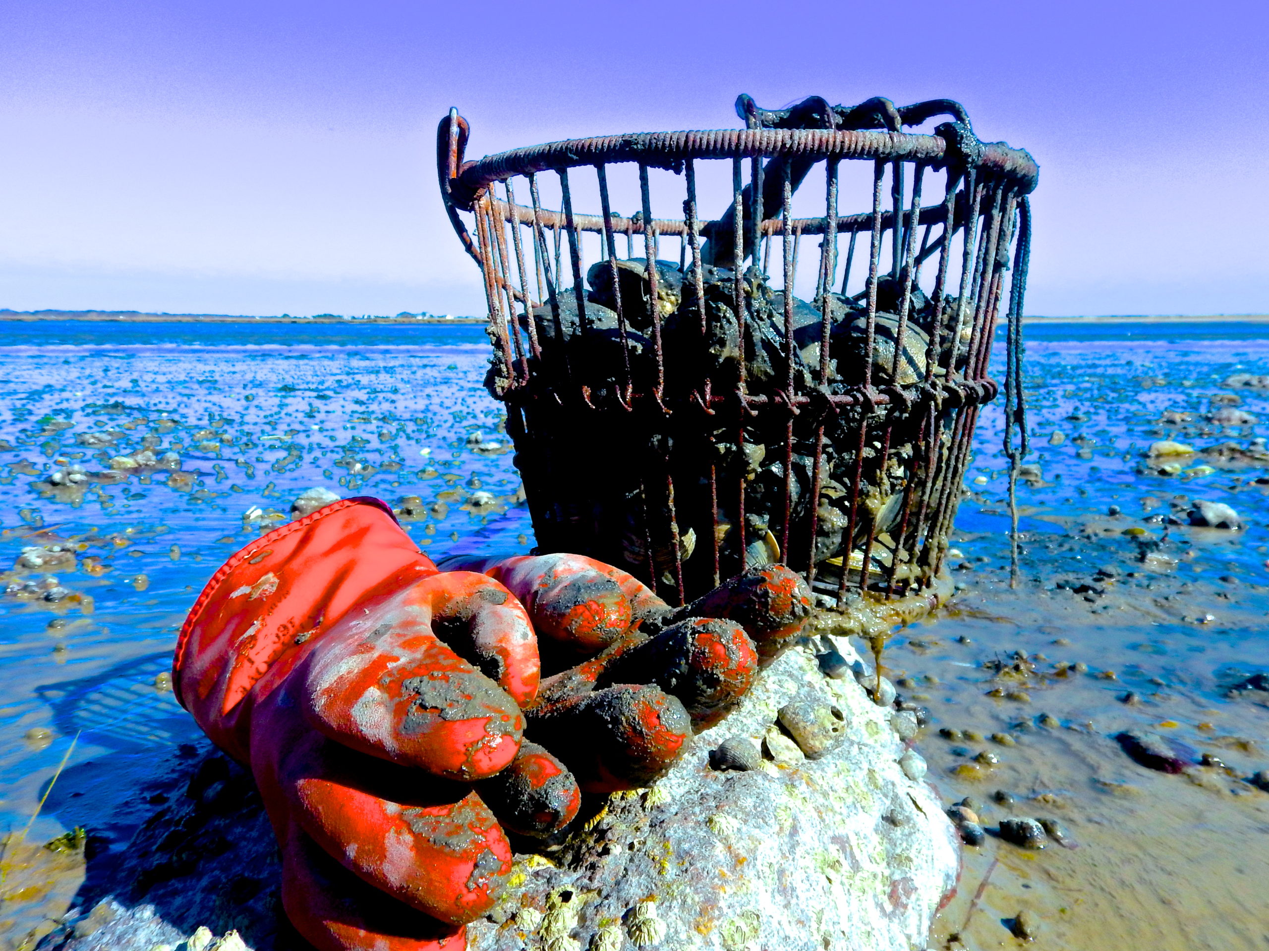 Weekend Clamming Baymen Guide Service, Inc. & Baymen Charters