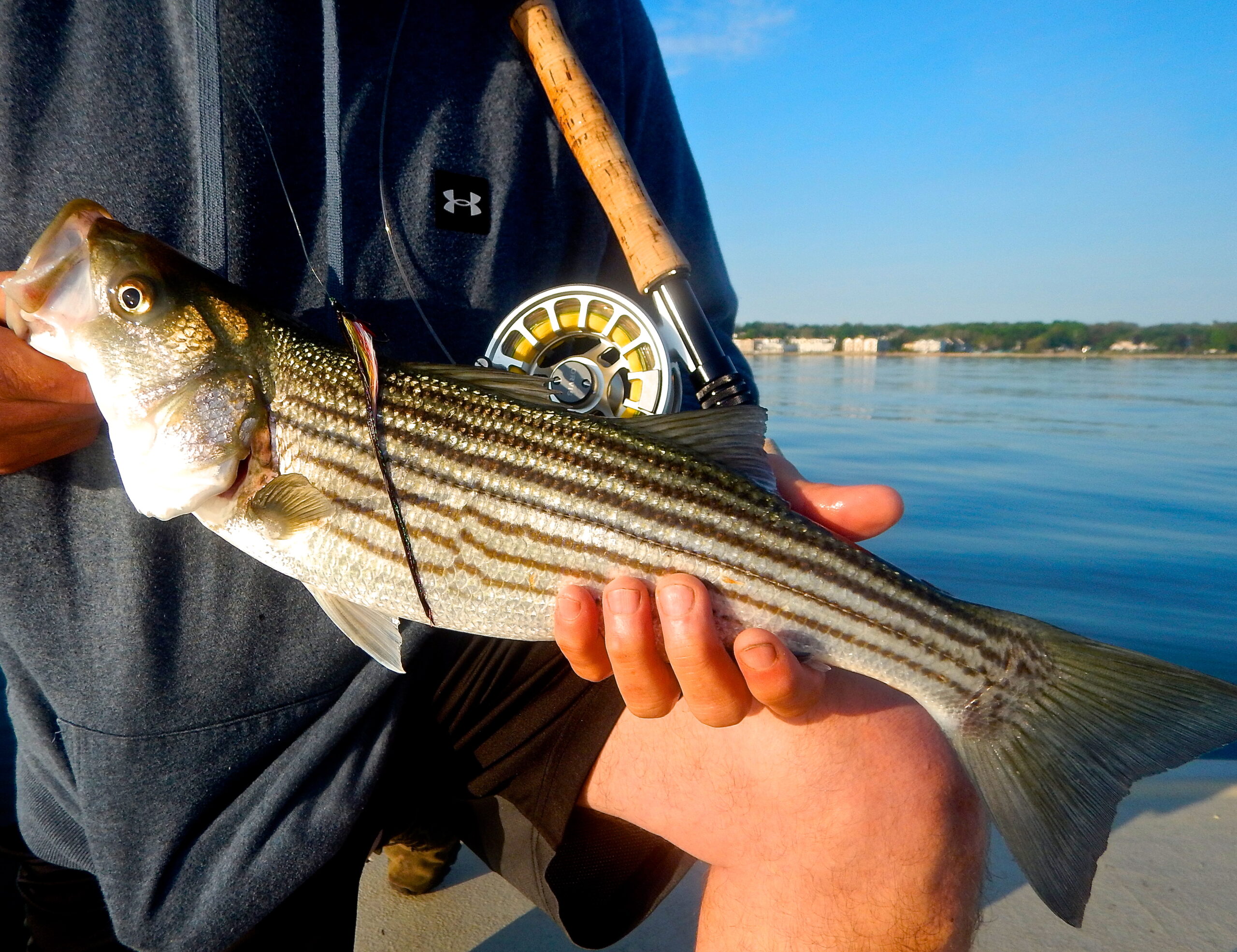 25 Fish on Fly & LT – Baymen Guide Service, Inc. & Baymen Charters